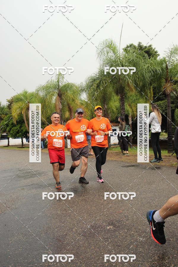 Buy your photos of the event3� Corrida Pernas de Aluguel 10K on Fotop