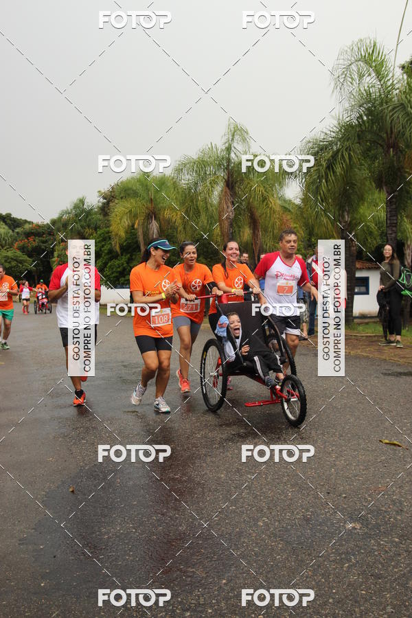 Buy your photos of the event3� Corrida Pernas de Aluguel 10K on Fotop