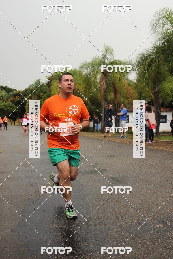 Buy your photos of the event3� Corrida Pernas de Aluguel 10K on Fotop
