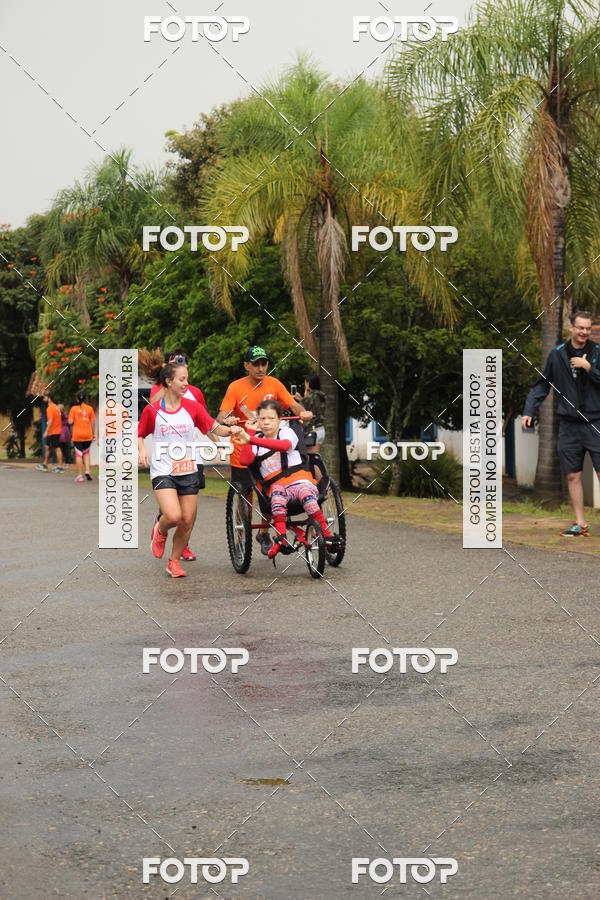 Buy your photos of the event3� Corrida Pernas de Aluguel 10K on Fotop