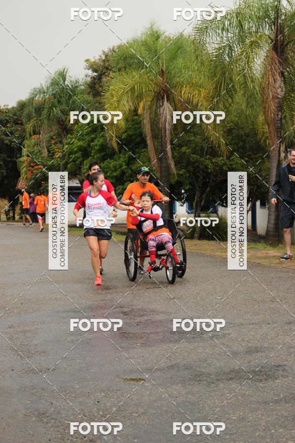 Buy your photos of the event3� Corrida Pernas de Aluguel 10K on Fotop