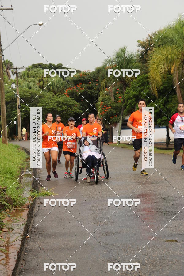 Buy your photos of the event3� Corrida Pernas de Aluguel 10K on Fotop