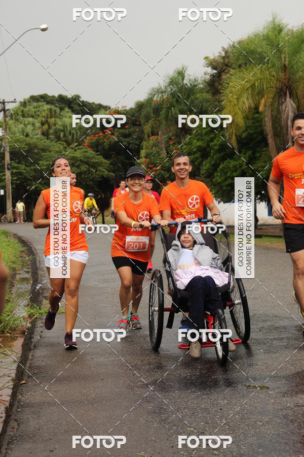 Buy your photos of the event3� Corrida Pernas de Aluguel 10K on Fotop