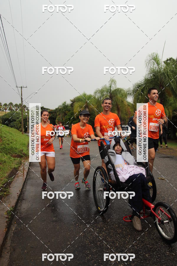 Buy your photos of the event3� Corrida Pernas de Aluguel 10K on Fotop