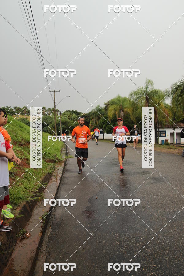 Buy your photos of the event3� Corrida Pernas de Aluguel 10K on Fotop