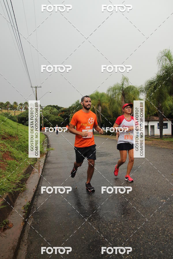Buy your photos of the event3� Corrida Pernas de Aluguel 10K on Fotop