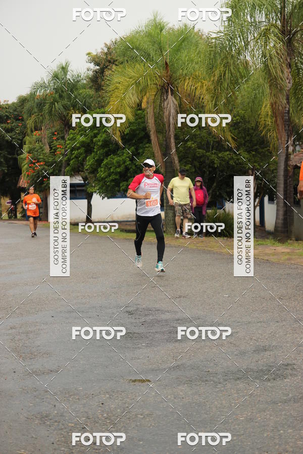 Buy your photos of the event3� Corrida Pernas de Aluguel 10K on Fotop