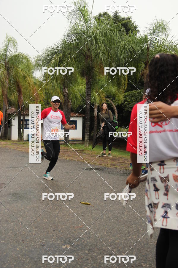 Buy your photos of the event3� Corrida Pernas de Aluguel 10K on Fotop