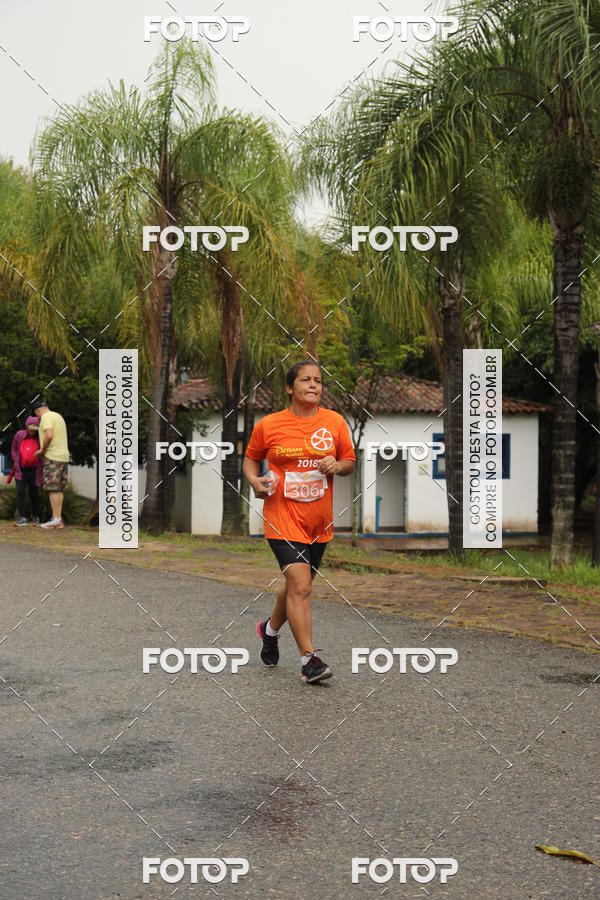 Buy your photos of the event3� Corrida Pernas de Aluguel 10K on Fotop