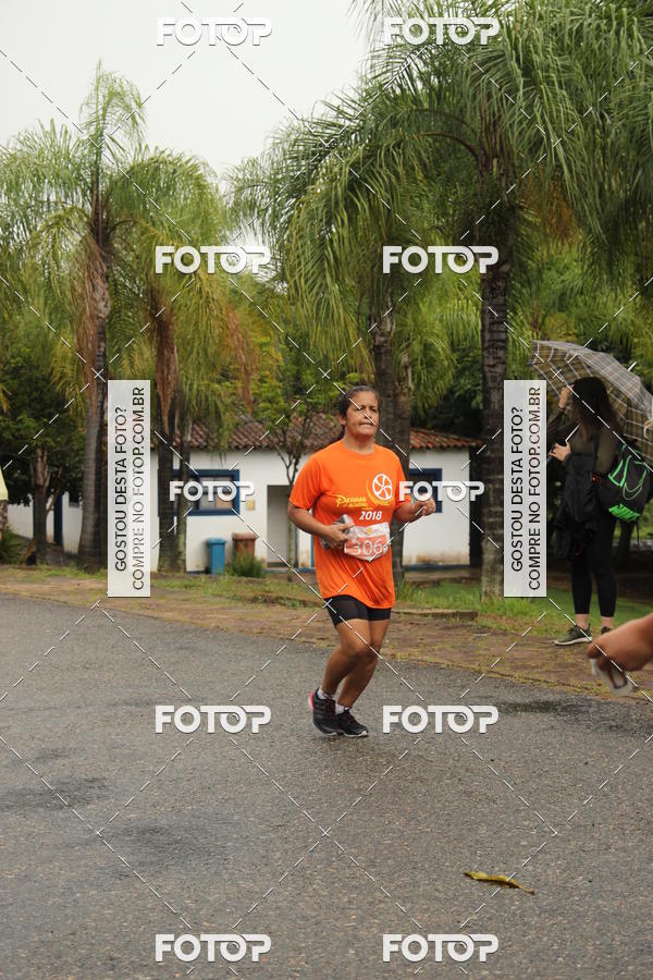 Buy your photos of the event3� Corrida Pernas de Aluguel 10K on Fotop