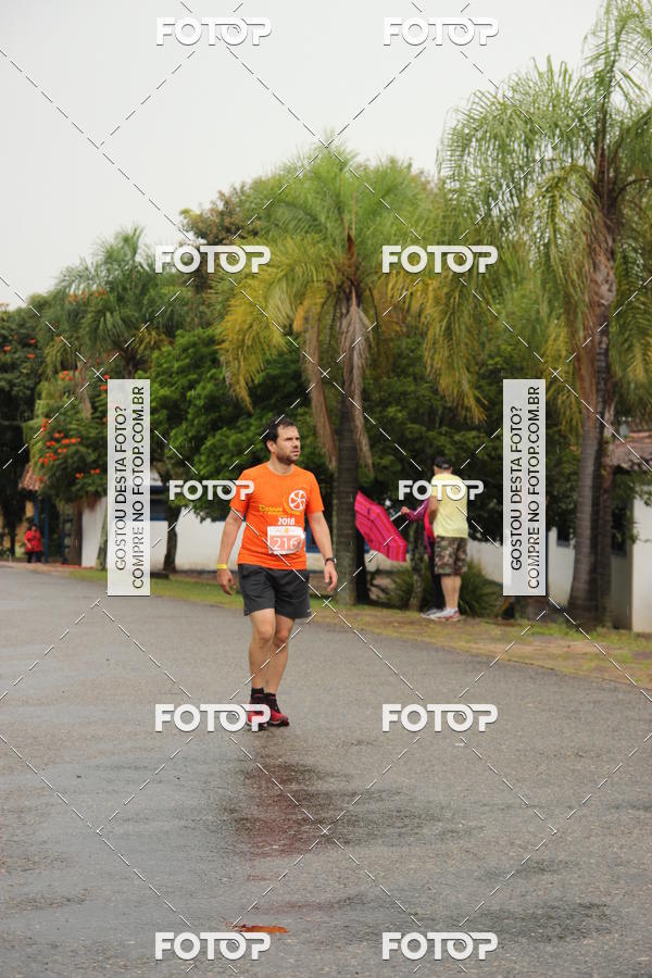 Buy your photos of the event3� Corrida Pernas de Aluguel 10K on Fotop