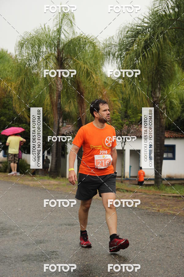 Buy your photos of the event3� Corrida Pernas de Aluguel 10K on Fotop