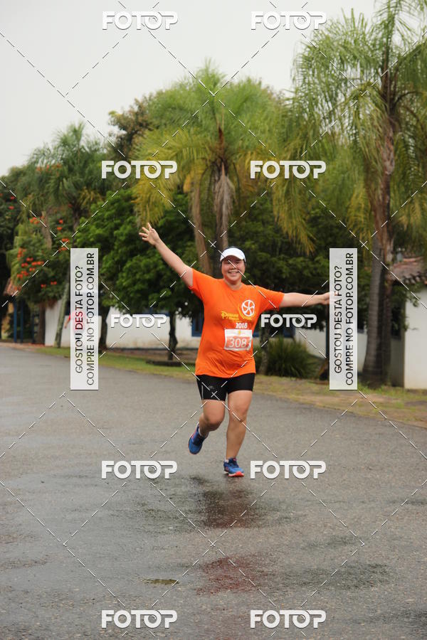 Buy your photos of the event3� Corrida Pernas de Aluguel 10K on Fotop