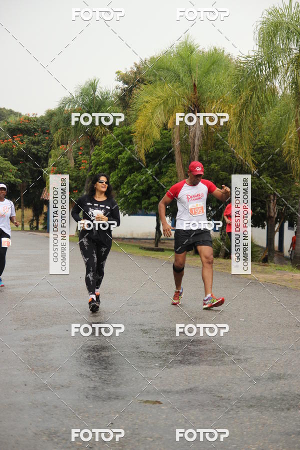 Buy your photos of the event3� Corrida Pernas de Aluguel 10K on Fotop