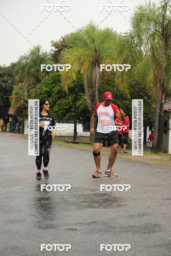 Buy your photos of the event3� Corrida Pernas de Aluguel 10K on Fotop