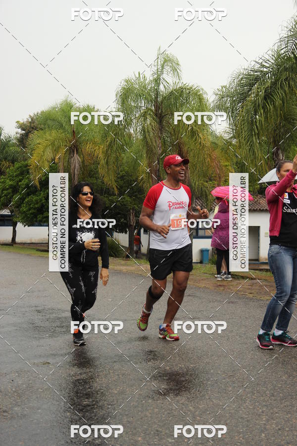 Buy your photos of the event3� Corrida Pernas de Aluguel 10K on Fotop