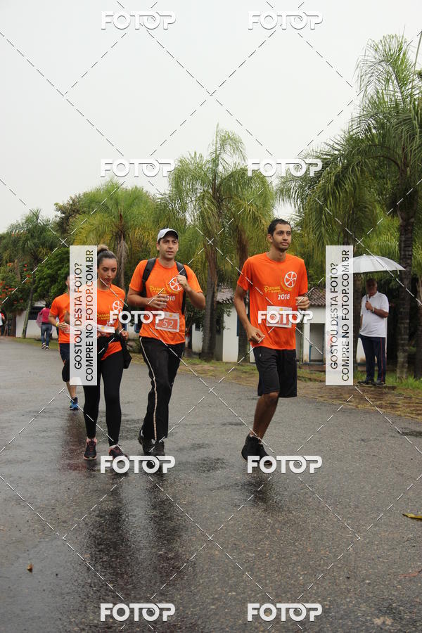 Buy your photos of the event3� Corrida Pernas de Aluguel 10K on Fotop