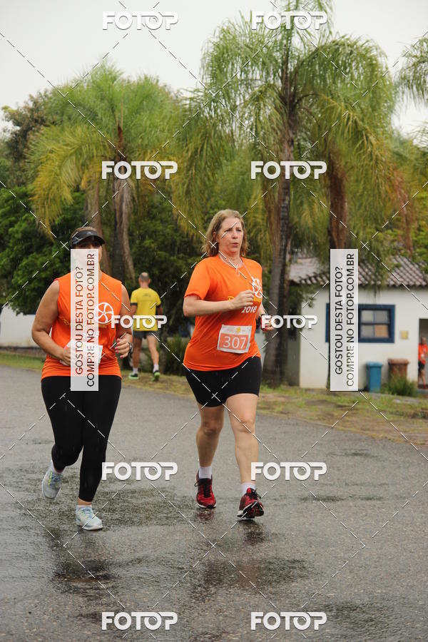 Buy your photos of the event3� Corrida Pernas de Aluguel 10K on Fotop