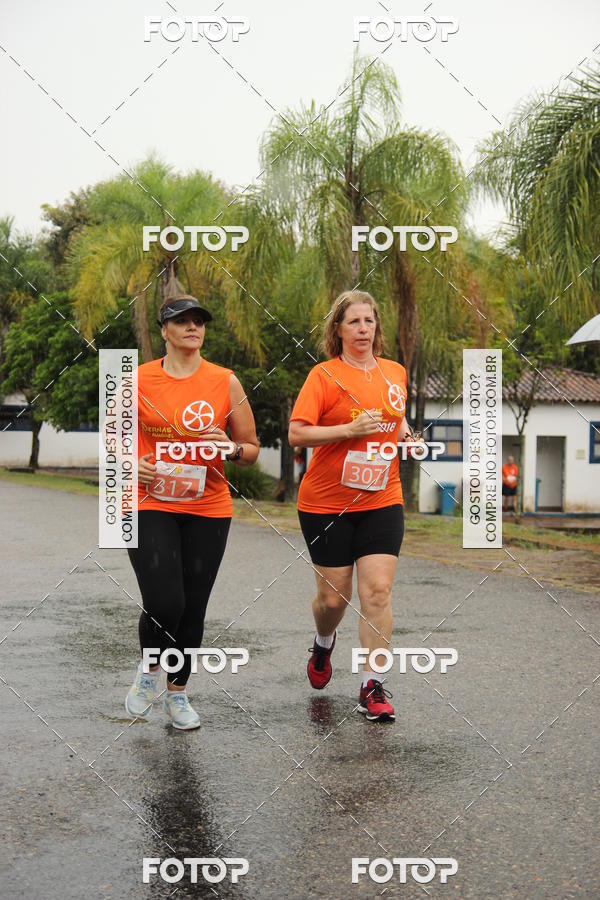 Buy your photos of the event3� Corrida Pernas de Aluguel 10K on Fotop