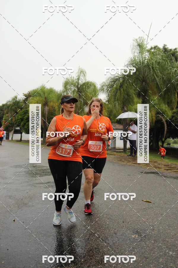 Buy your photos of the event3� Corrida Pernas de Aluguel 10K on Fotop