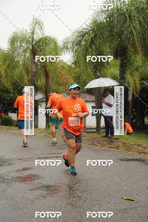 Buy your photos of the event3� Corrida Pernas de Aluguel 10K on Fotop