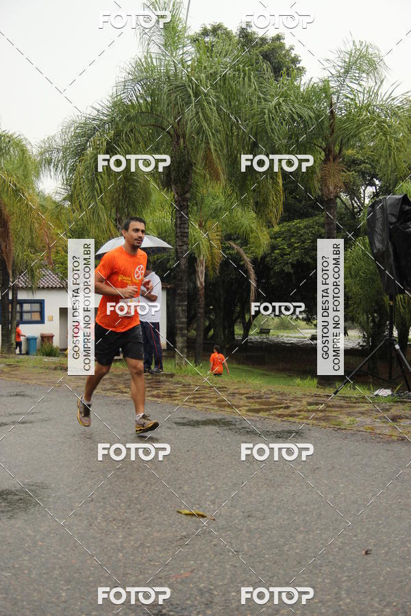 Buy your photos of the event3� Corrida Pernas de Aluguel 10K on Fotop