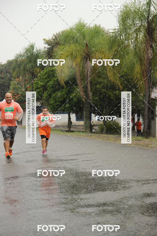 Buy your photos of the event3� Corrida Pernas de Aluguel 10K on Fotop