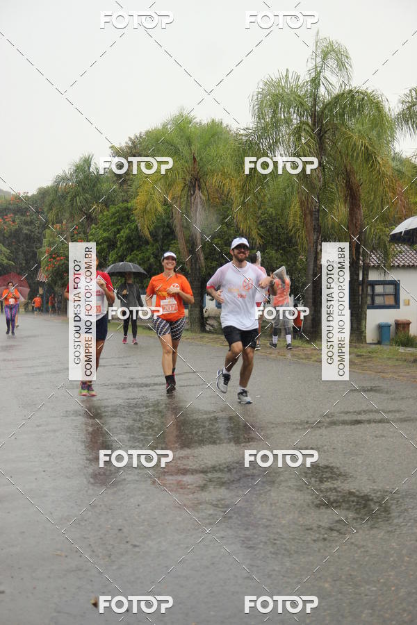 Buy your photos of the event3� Corrida Pernas de Aluguel 10K on Fotop