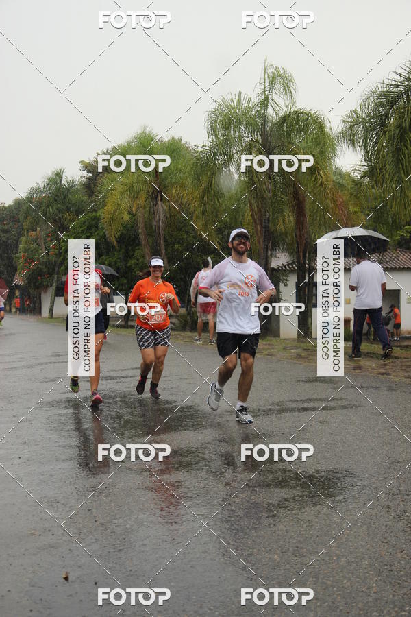 Buy your photos of the event3� Corrida Pernas de Aluguel 10K on Fotop