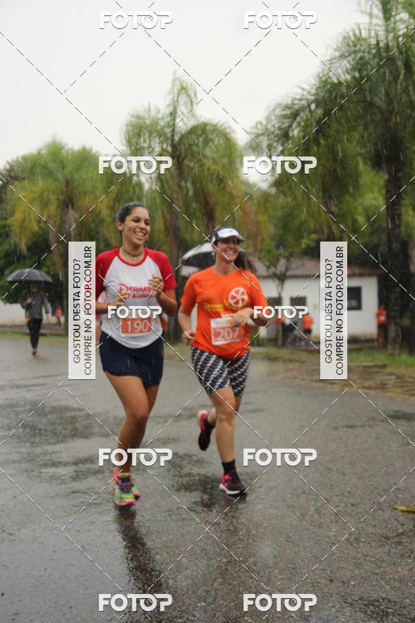 Buy your photos of the event3� Corrida Pernas de Aluguel 10K on Fotop