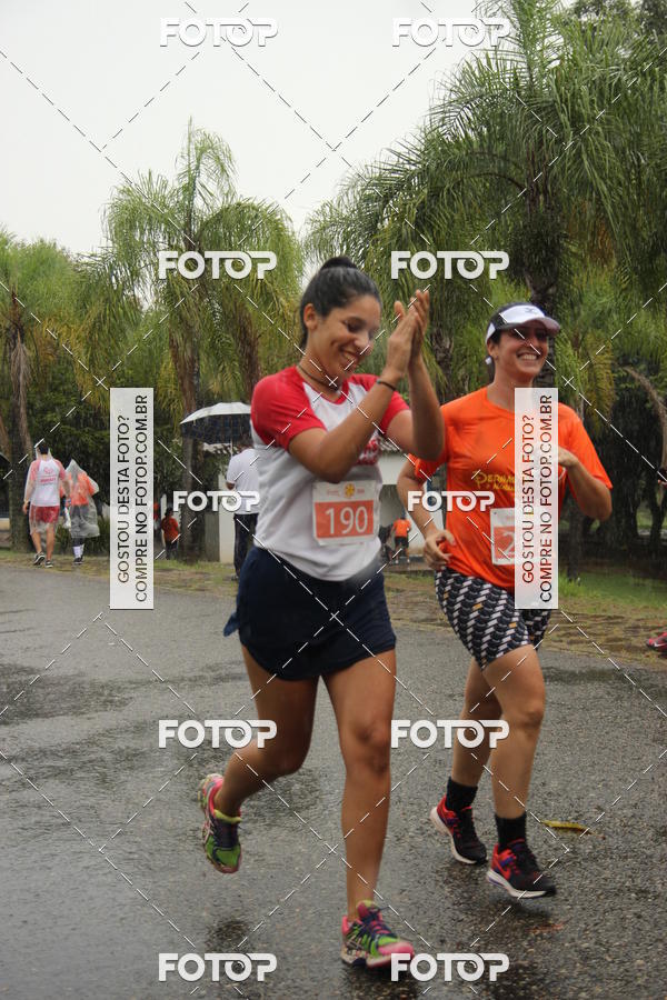 Buy your photos of the event3� Corrida Pernas de Aluguel 10K on Fotop