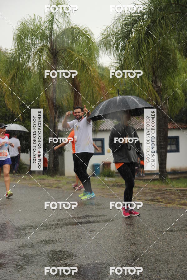 Buy your photos of the event3� Corrida Pernas de Aluguel 10K on Fotop