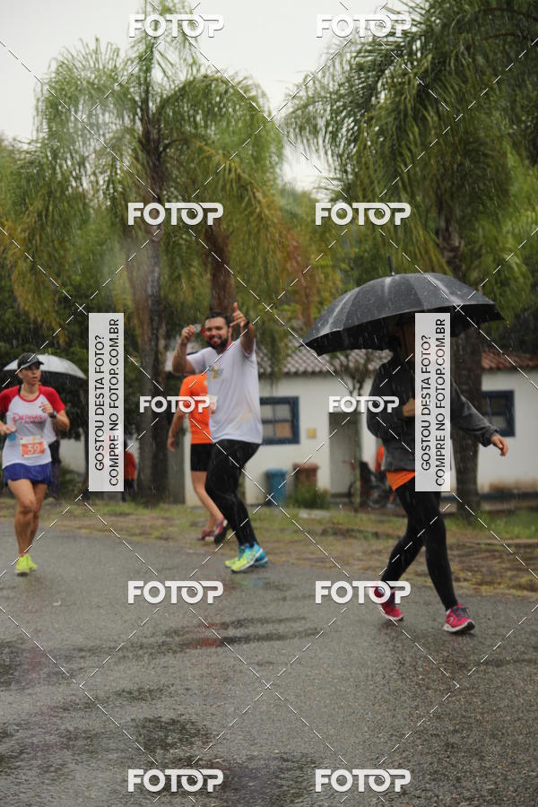 Buy your photos of the event3� Corrida Pernas de Aluguel 10K on Fotop