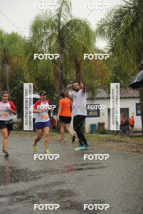 Buy your photos of the event3� Corrida Pernas de Aluguel 10K on Fotop