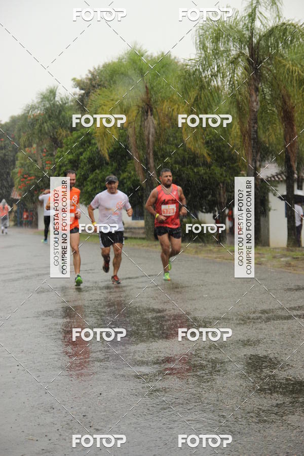 Buy your photos of the event3� Corrida Pernas de Aluguel 10K on Fotop