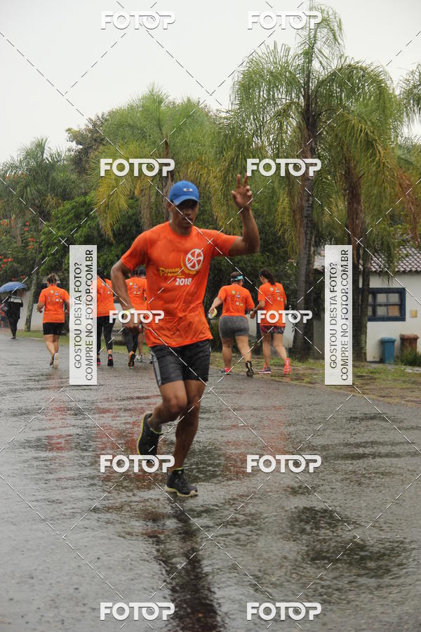 Buy your photos of the event3� Corrida Pernas de Aluguel 10K on Fotop