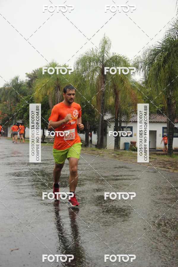 Buy your photos of the event3� Corrida Pernas de Aluguel 10K on Fotop