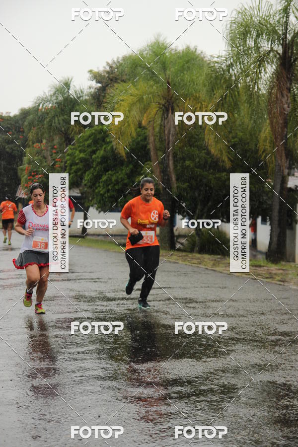 Buy your photos of the event3� Corrida Pernas de Aluguel 10K on Fotop