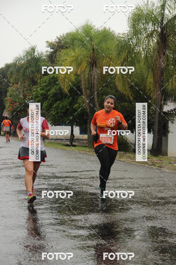Buy your photos of the event3� Corrida Pernas de Aluguel 10K on Fotop
