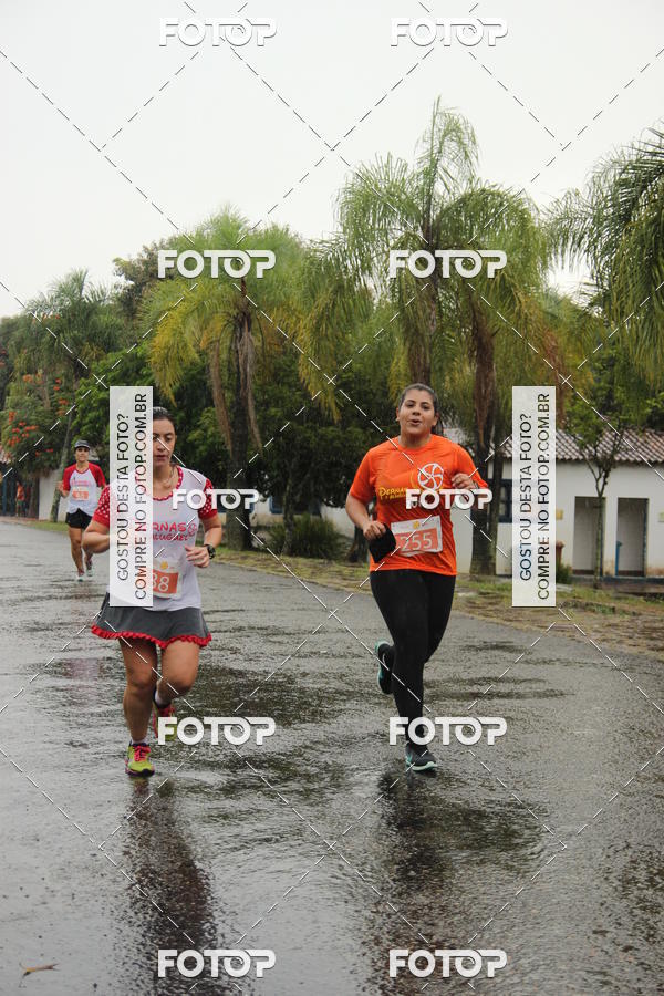 Buy your photos of the event3� Corrida Pernas de Aluguel 10K on Fotop