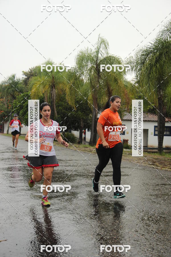 Buy your photos of the event3� Corrida Pernas de Aluguel 10K on Fotop