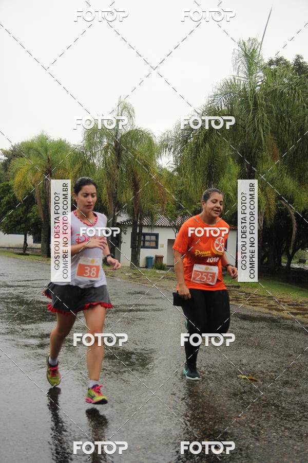 Buy your photos of the event3� Corrida Pernas de Aluguel 10K on Fotop