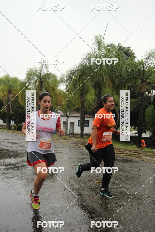 Buy your photos of the event3� Corrida Pernas de Aluguel 10K on Fotop