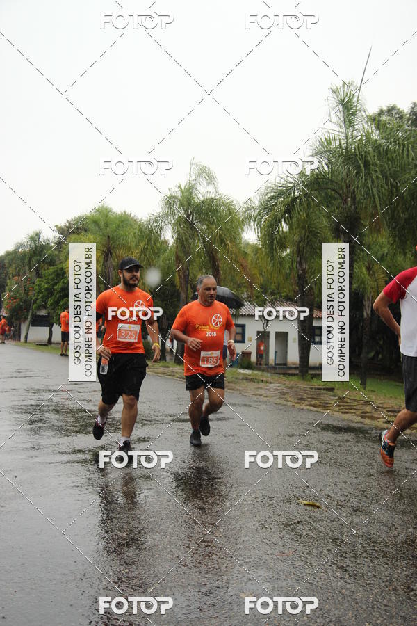 Buy your photos of the event3� Corrida Pernas de Aluguel 10K on Fotop