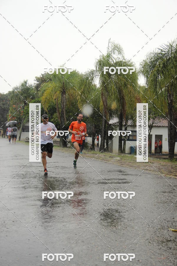 Buy your photos of the event3� Corrida Pernas de Aluguel 10K on Fotop