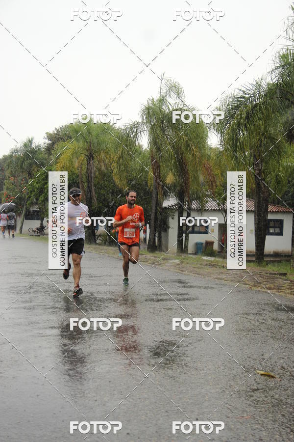 Buy your photos of the event3� Corrida Pernas de Aluguel 10K on Fotop