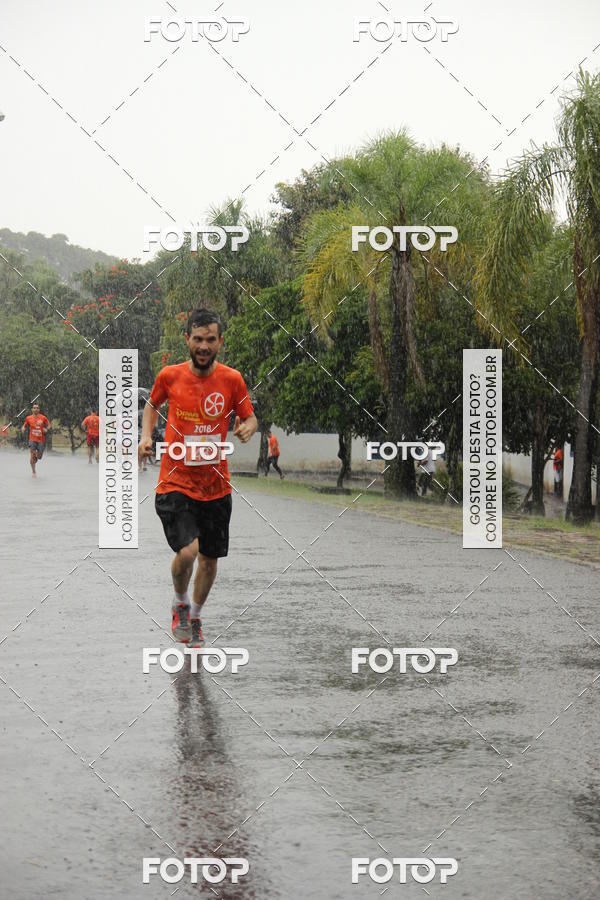 Buy your photos of the event3� Corrida Pernas de Aluguel 10K on Fotop