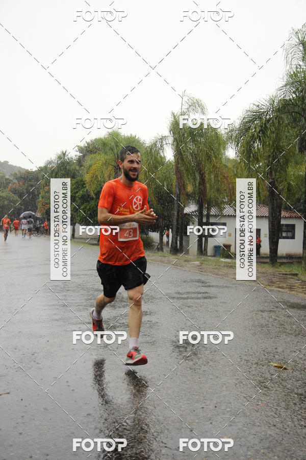Buy your photos of the event3� Corrida Pernas de Aluguel 10K on Fotop
