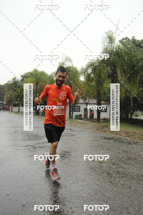 Buy your photos of the event3� Corrida Pernas de Aluguel 10K on Fotop