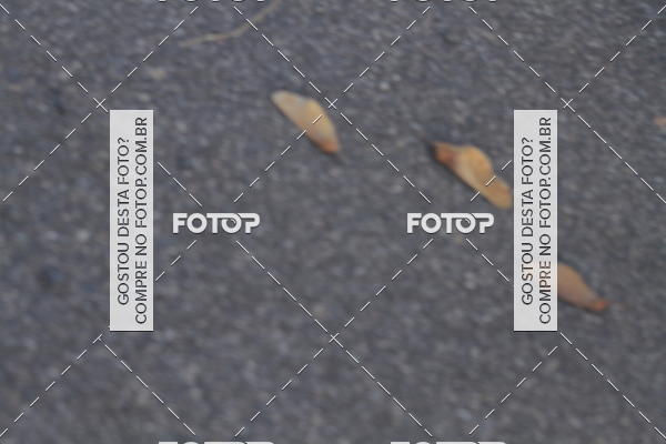 Buy your photos of the event4 Maratona de Campinas on Fotop